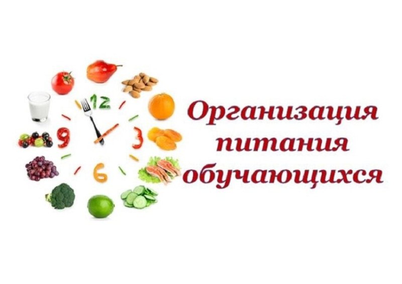 Организация питания обучающихся.